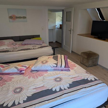 Ferienwohnung Feriendomizil Burgert Nähe Europapark Kippenheim Exterior foto